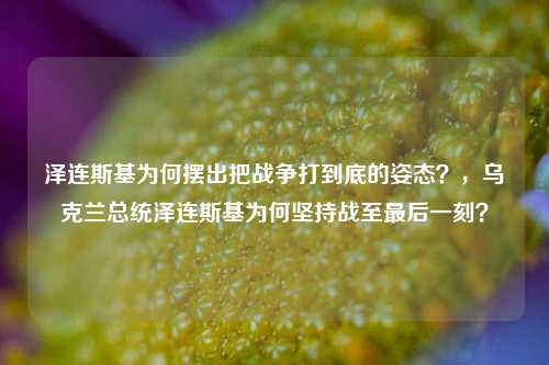 泽连斯基为何摆出把战争打到底的姿态？，乌克兰总统泽连斯基为何坚持战至最后一刻？