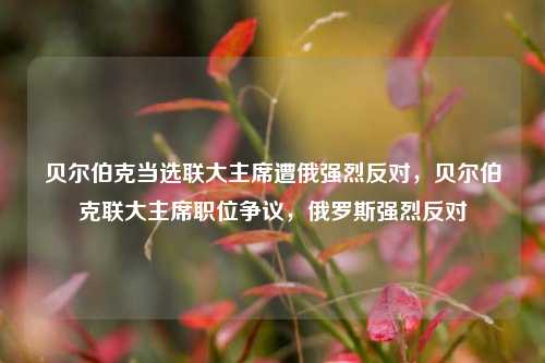 贝尔伯克当选联大主席遭俄强烈反对，贝尔伯克联大主席职位争议，俄罗斯强烈反对