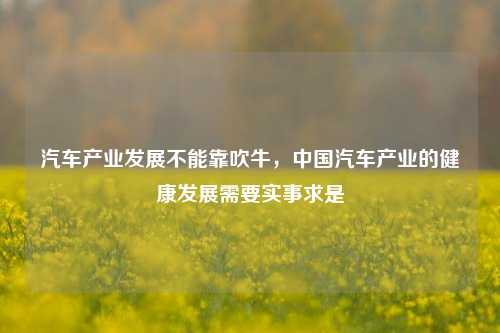 汽车产业发展不能靠吹牛，中国汽车产业的健康发展需要实事求是