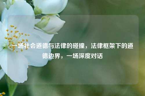 一场社会道德与法律的碰撞，法律框架下的道德边界，一场深度对话