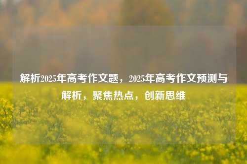 解析2025年高考作文题，2025年高考作文预测与解析，聚焦热点，创新思维