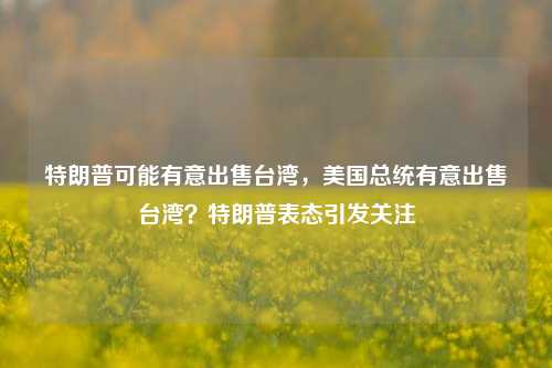 特朗普可能有意出售台湾，美国总统有意出售台湾？特朗普表态引发关注