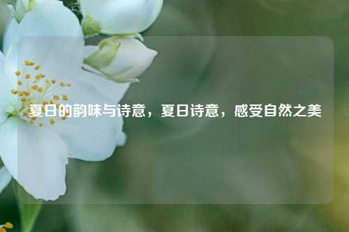 夏日的韵味与诗意，夏日诗意，感受自然之美