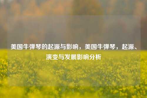 美国牛弹琴的起源与影响，美国牛弹琴，起源、演变与发展影响分析