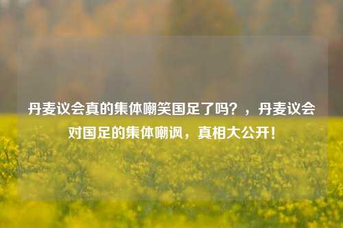 丹麦议会真的集体嘲笑国足了吗？，丹麦议会对国足的集体嘲讽，真相大公开！