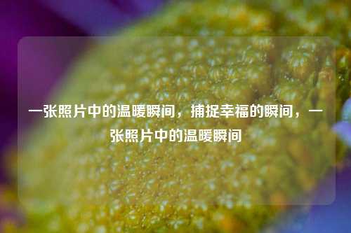 一张照片中的温暖瞬间，捕捉幸福的瞬间，一张照片中的温暖瞬间