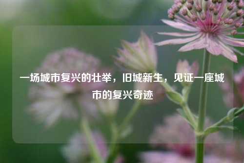 一场城市复兴的壮举，旧城新生，见证一座城市的复兴奇迹