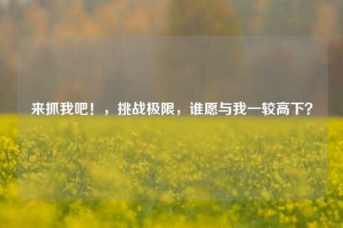 来抓我吧！，挑战极限，谁愿与我一较高下？