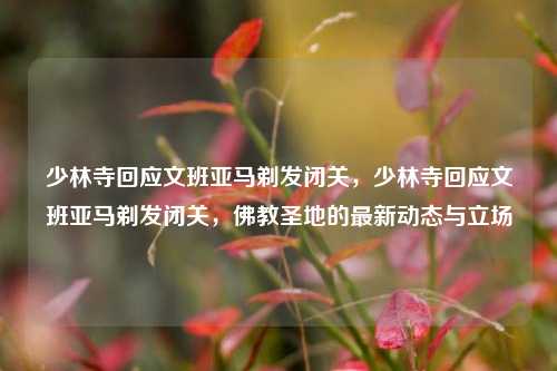 少林寺回应文班亚马剃发闭关，少林寺回应文班亚马剃发闭关，佛教圣地的最新动态与立场
