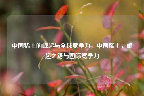 中国稀土的崛起与全球竞争力，中国稀土，崛起之路与国际竞争力