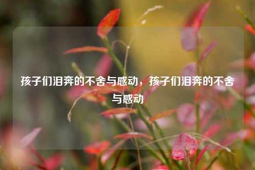 孩子们泪奔的不舍与感动，孩子们泪奔的不舍与感动