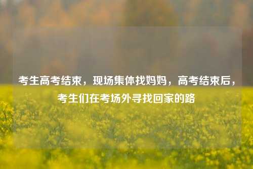 考生高考结束，现场集体找妈妈，高考结束后，考生们在考场外寻找回家的路