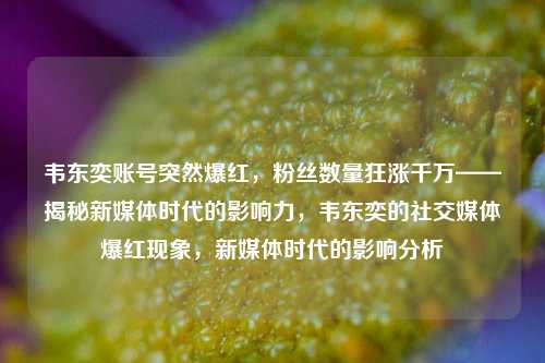 韦东奕账号突然爆红，粉丝数量狂涨千万——揭秘新媒体时代的影响力，韦东奕的社交媒体爆红现象，新媒体时代的影响分析