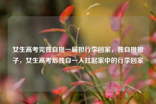 女生高考完独自挑一扁担行李回家，独自挑担子，女生高考后独自一人扛起家中的行李回家