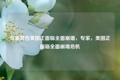 专家警告美国正面临全面崩塌，专家，美国正面临全面崩塌危机