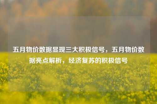 五月物价数据显现三大积极信号，五月物价数据亮点解析，经济复苏的积极信号