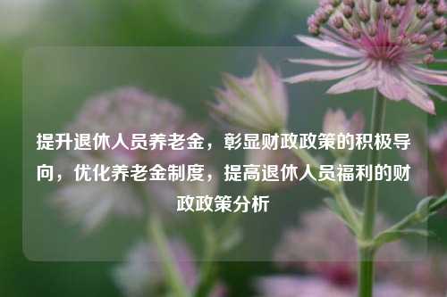 提升退休人员养老金，彰显财政政策的积极导向，优化养老金制度，提高退休人员福利的财政政策分析