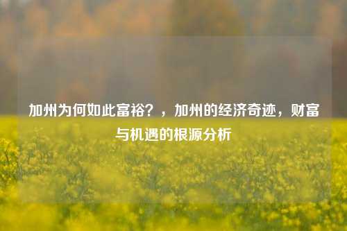 加州为何如此富裕？，加州的经济奇迹，财富与机遇的根源分析
