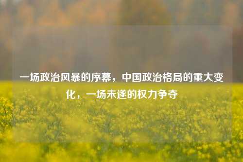 一场政治风暴的序幕，中国政治格局的重大变化，一场未遂的权力争夺