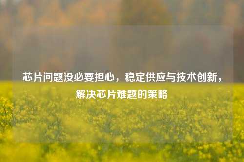 芯片问题没必要担心，稳定供应与技术创新，解决芯片难题的策略