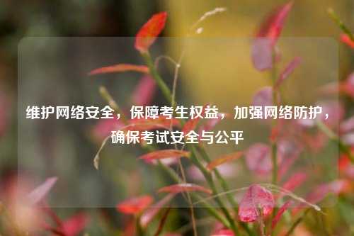 维护网络安全，保障考生权益，加强网络防护，确保考试安全与公平