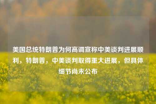 美国总统特朗普为何高调宣称中美谈判进展顺利，特朗普，中美谈判取得重大进展，但具体细节尚未公布