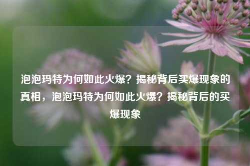 泡泡玛特为何如此火爆？揭秘背后买爆现象的真相，泡泡玛特为何如此火爆？揭秘背后的买爆现象