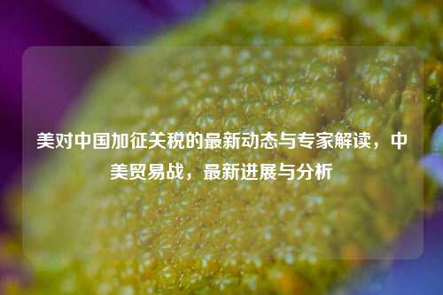美对中国加征关税的最新动态与专家解读，中美贸易战，最新进展与分析