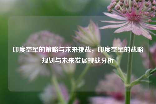 印度空军的策略与未来挑战，印度空军的战略规划与未来发展挑战分析