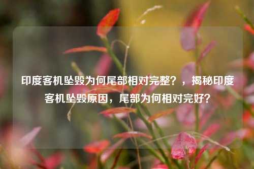 印度客机坠毁为何尾部相对完整？，揭秘印度客机坠毁原因，尾部为何相对完好？