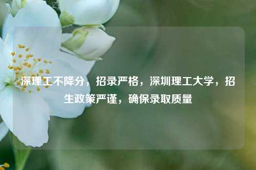 深理工不降分，招录严格，深圳理工大学，招生政策严谨，确保录取质量
