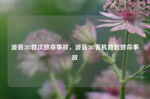 波音787首次致命事故，波音787客机首起致命事故