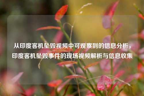 从印度客机坠毁视频中可观察到的信息分析，印度客机坠毁事件的现场视频解析与信息收集