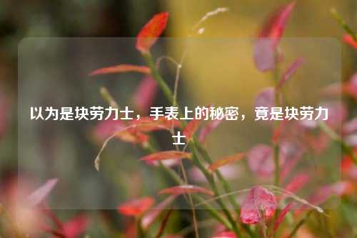 以为是块劳力士，手表上的秘密，竟是块劳力士