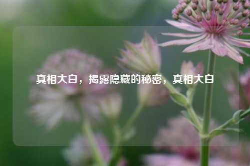 真相大白，揭露隐藏的秘密，真相大白