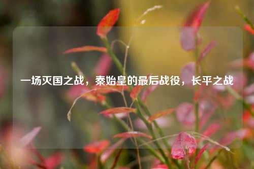 一场灭国之战，秦始皇的最后战役，长平之战