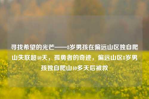 寻找希望的光芒——8岁男孩在偏远山区独自爬山失联超40天，孤勇者的奇迹，偏远山区8岁男孩独自爬山40多天后被救