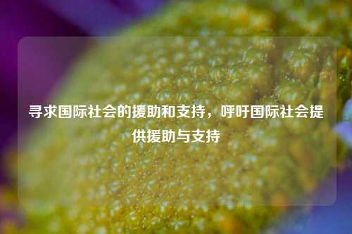 寻求国际社会的援助和支持，呼吁国际社会提供援助与支持