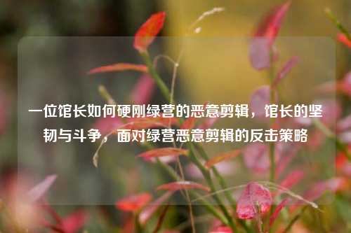一位馆长如何硬刚绿营的恶意剪辑，馆长的坚韧与斗争，面对绿营恶意剪辑的反击策略