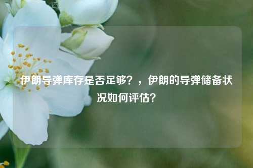 伊朗导弹库存是否足够？，伊朗的导弹储备状况如何评估？