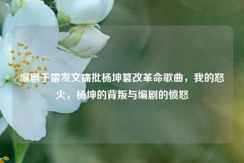 编剧于雷发文痛批杨坤篡改革命歌曲，我的怒火，杨坤的背叛与编剧的愤怒