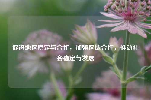促进地区稳定与合作，加强区域合作，推动社会稳定与发展