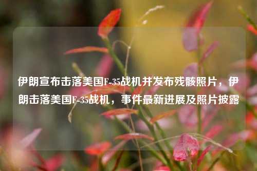 伊朗宣布击落美国F-35战机并发布残骸照片，伊朗击落美国F-35战机，事件最新进展及照片披露