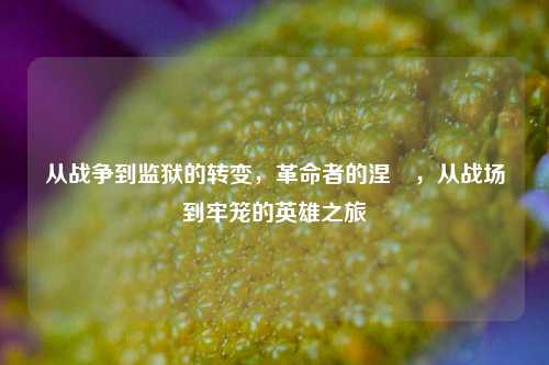 从战争到监狱的转变，革命者的涅槃，从战场到牢笼的英雄之旅