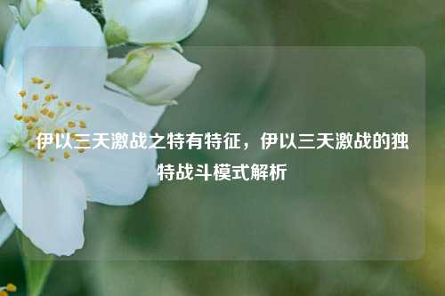 伊以三天激战之特有特征，伊以三天激战的独特战斗模式解析