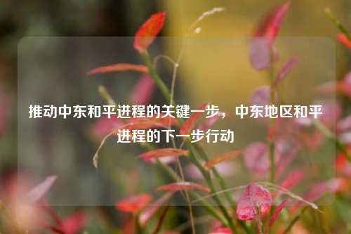 推动中东和平进程的关键一步，中东地区和平进程的下一步行动