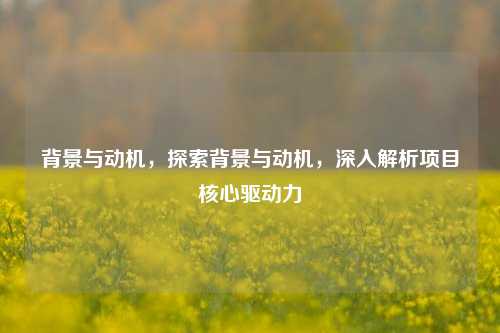背景与动机，探索背景与动机，深入解析项目核心驱动力