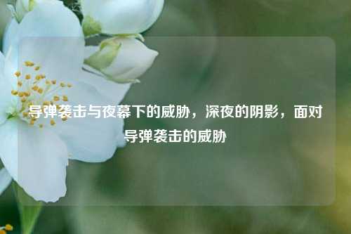 导弹袭击与夜幕下的威胁，深夜的阴影，面对导弹袭击的威胁
