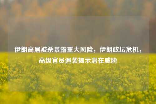 伊朗高层被杀暴露重大风险，伊朗政坛危机，高级官员遇袭揭示潜在威胁