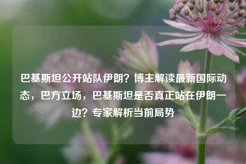 巴基斯坦公开站队伊朗？博主解读最新国际动态，巴方立场，巴基斯坦是否真正站在伊朗一边？专家解析当前局势